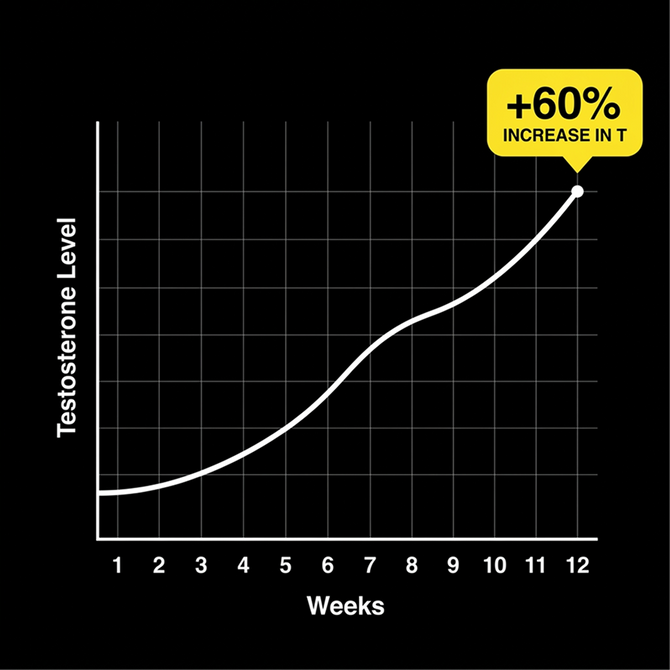 Testosterone level increase chart over 12 weeks