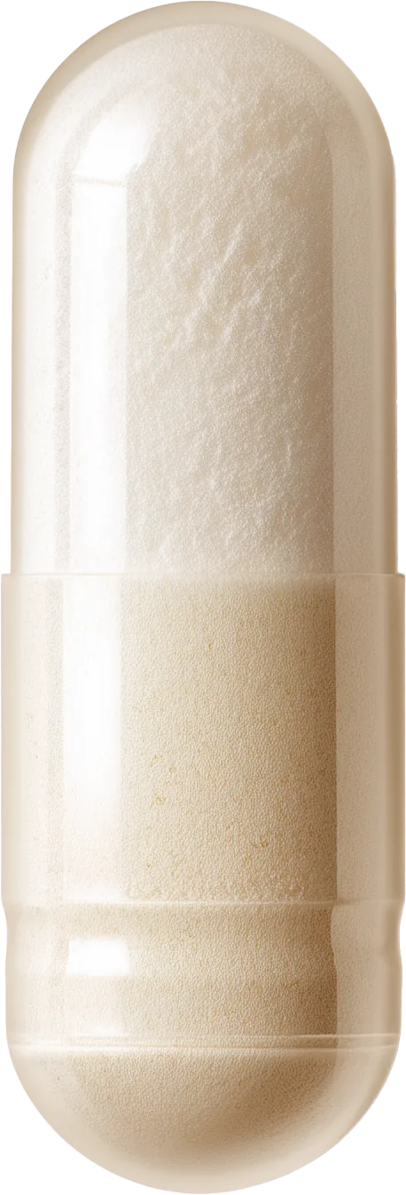 A Menerals capsule